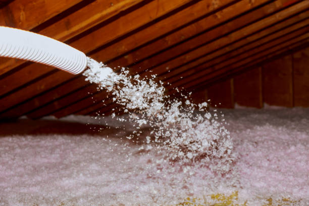 Fruitvale, CO Insulation Contractor Pros
