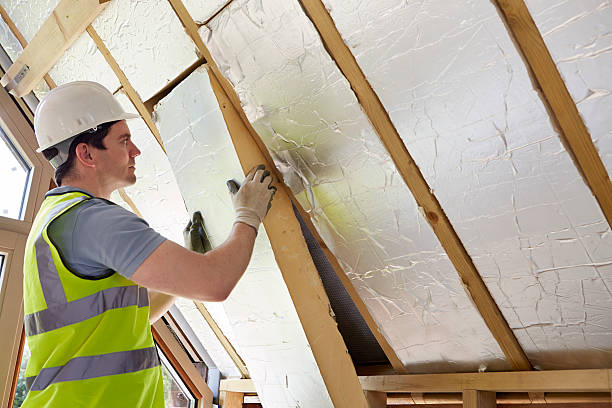 Best Commercial Insulation in Fruitvale, CO